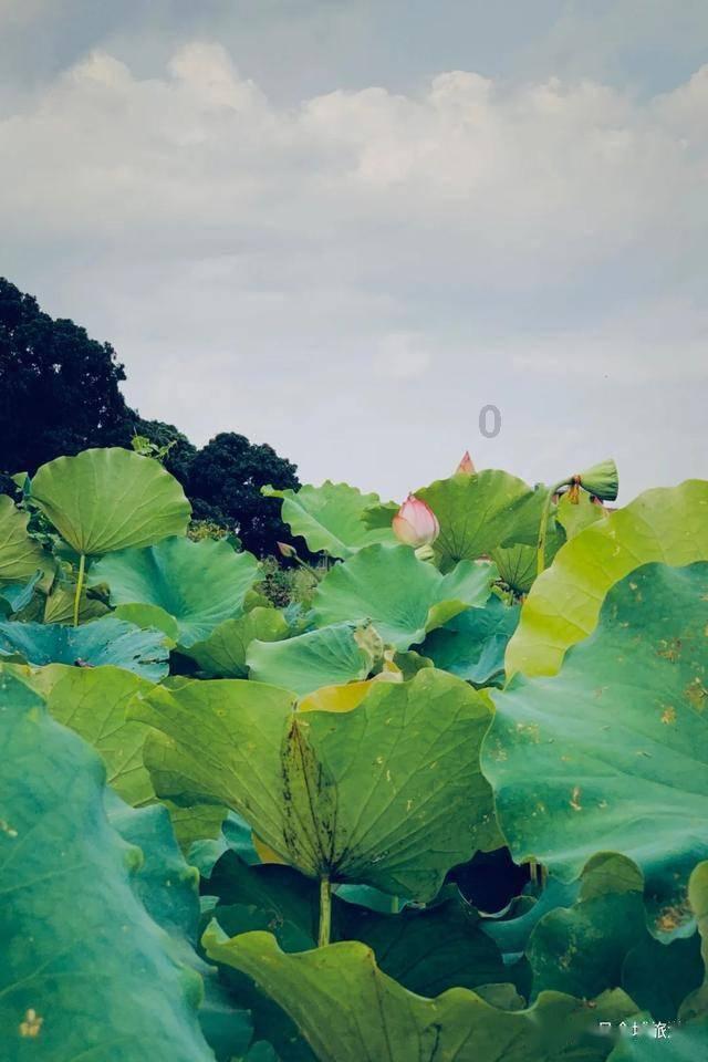 狂打小飞机